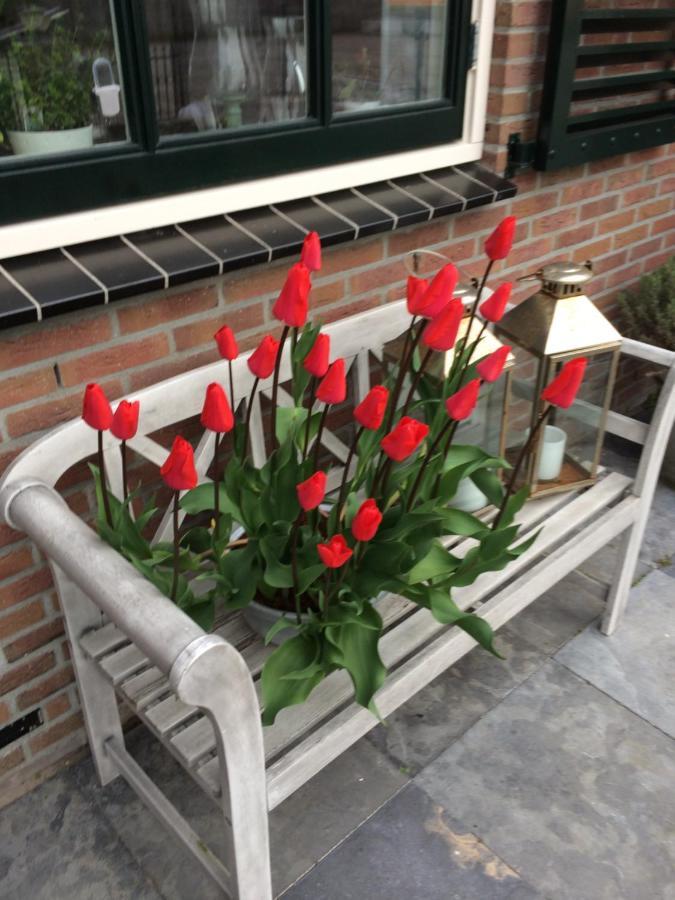 Flowerbed Voorhout Zewnętrze zdjęcie